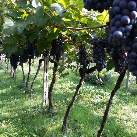 Appartamento Stella