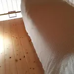 Stella