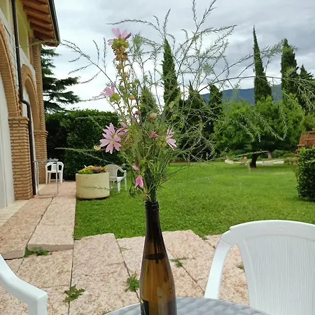Stella Апартаменты *